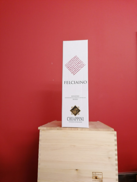 Felciaino, 2017, Magnum